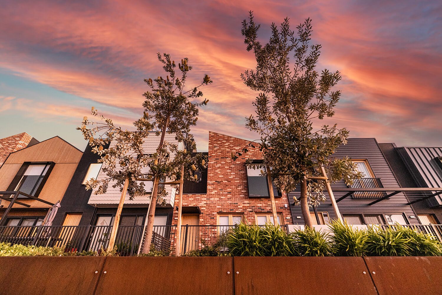 Dock One looking up at banksia trees and homes